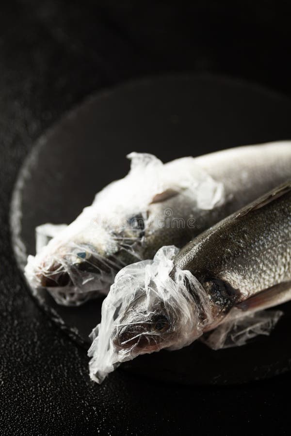 æ»é±¼å’Œæµ·æ´‹æ±¡æŸ“,环境塑料袋。海洋野生生物,生æ€ç³»ç»Ÿå±å®³ã€‚æ»é±¼å’Œæµ·æ´‹æ±¡æŸ“,环境塑料袋。海æ 库存照片 æ»é±¼å’Œæµ·æ´‹æ±¡æŸ“,环境塑料袋。海洋野生生物,生æ€ç³»ç»Ÿå±å®³ã€‚æ»é±¼å’Œæµ·æ´‹æ±¡æŸ“,环境塑料袋。海æ 库存照片
