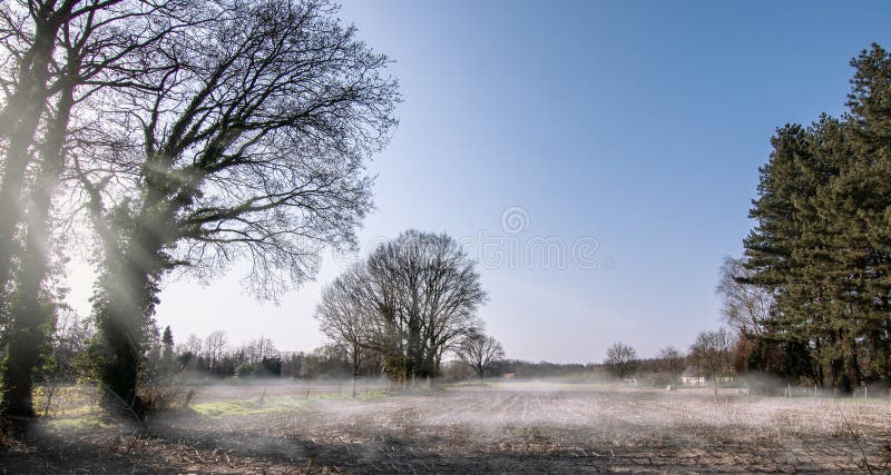 比利时草甸雾阳秀丽的晨景 全景