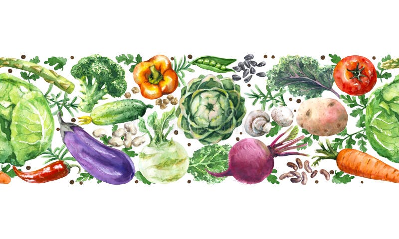 Hand drawn raw food illustration. Horizontal seamless pattern with watercolor vegetables. Set of organic products. Cabbages, greens, tomato, eggplant, asparagus, potato in row on white background. Hand drawn raw food illustration. Horizontal seamless pattern with watercolor vegetables. Set of organic products. Cabbages, greens, tomato, eggplant, asparagus, potato in row on white background