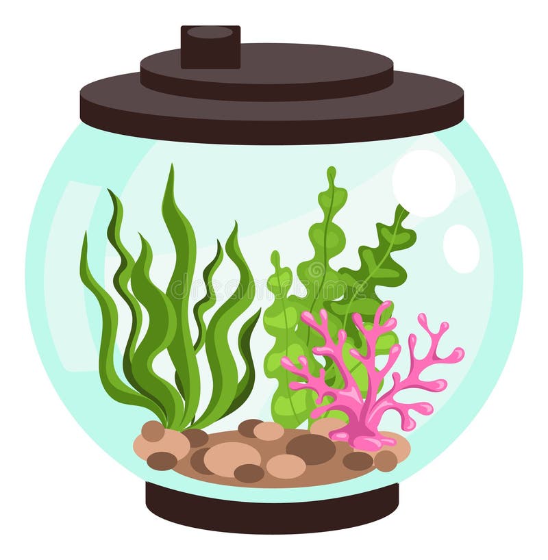 Aquarium element. Fishbowl with seaweeds and stones. Empty fish tank. Glass sphere container. Clean water. Undersea plants. Sea algae and sand. Underwater animals home. Vector aquaculture equipment. Aquarium element. Fishbowl with seaweeds and stones. Empty fish tank. Glass sphere container. Clean water. Undersea plants. Sea algae and sand. Underwater animals home. Vector aquaculture equipment