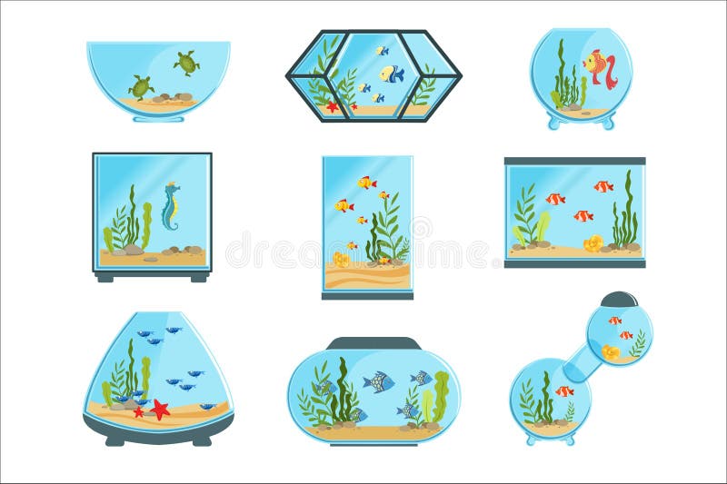 Aquarium tanks set, different types of aquariums with plants and fish detailed vector Illustrations on a white background. Aquarium tanks set, different types of aquariums with plants and fish detailed vector Illustrations on a white background