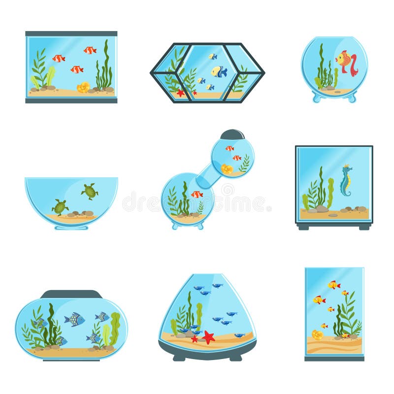 Aquarium tanks set, different types of aquariums with plants and fish detailed vector Illustrations on a white background. Aquarium tanks set, different types of aquariums with plants and fish detailed vector Illustrations on a white background