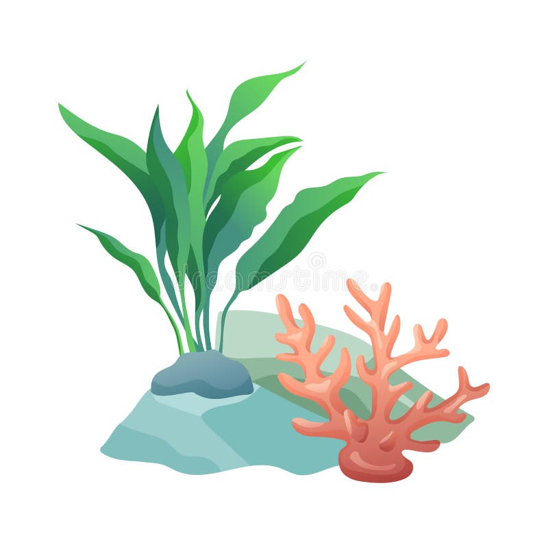Aquarium stone and plants to decorate container with water. Decorative elements natural items. Marine and ocean flora foliage vector illustration. Aquarium stone and plants to decorate container with water. Decorative elements natural items. Marine and ocean flora foliage vector illustration