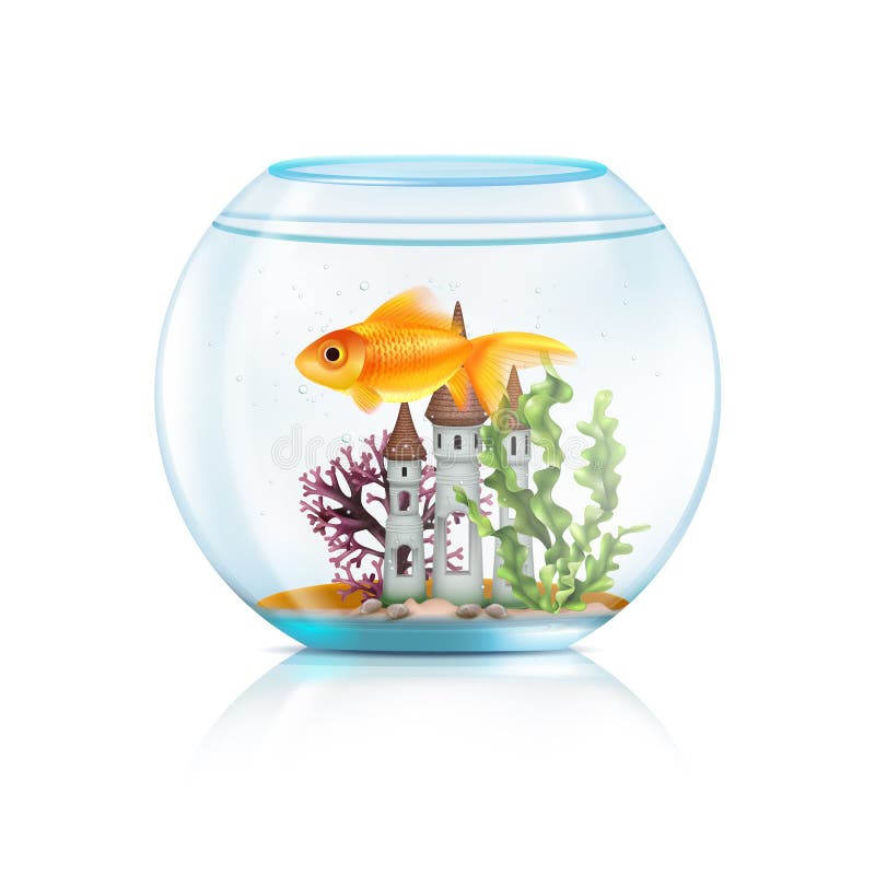 Glass acrylic aquarium round fish bowl with decorative castle aquatic plants big goldfish realistic composition vector illustration. Glass acrylic aquarium round fish bowl with decorative castle aquatic plants big goldfish realistic composition vector illustration