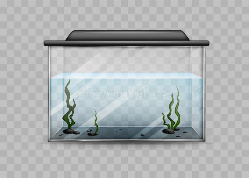 Transparent aquarium with water and algae isolated template. Rectangular container with black backlight lid and green underwater plants water world at home and vector office. Transparent aquarium with water and algae isolated template. Rectangular container with black backlight lid and green underwater plants water world at home and vector office.