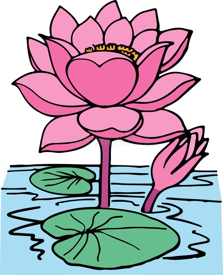 池塘花插图 向量例证