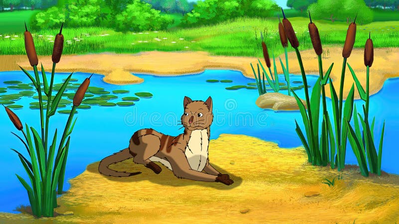 池塘附近的红斑猫插图 皇族释放例证
