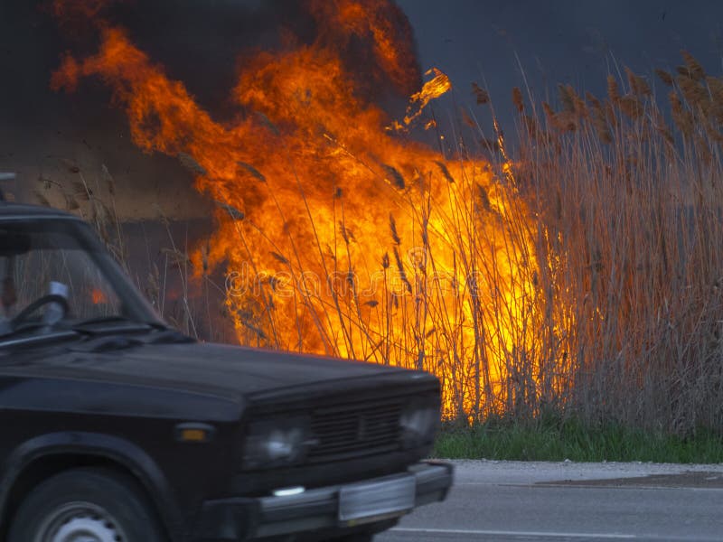 The car is driving along the road near the fire. The car is driving along the road near the fire