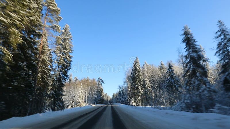 从汽车的正面图登上了照相机，当车辆驾驶冬天多雪的森林公路