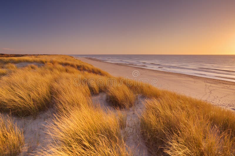 沙丘和海滩在日落在特塞尔海岛，荷兰上
