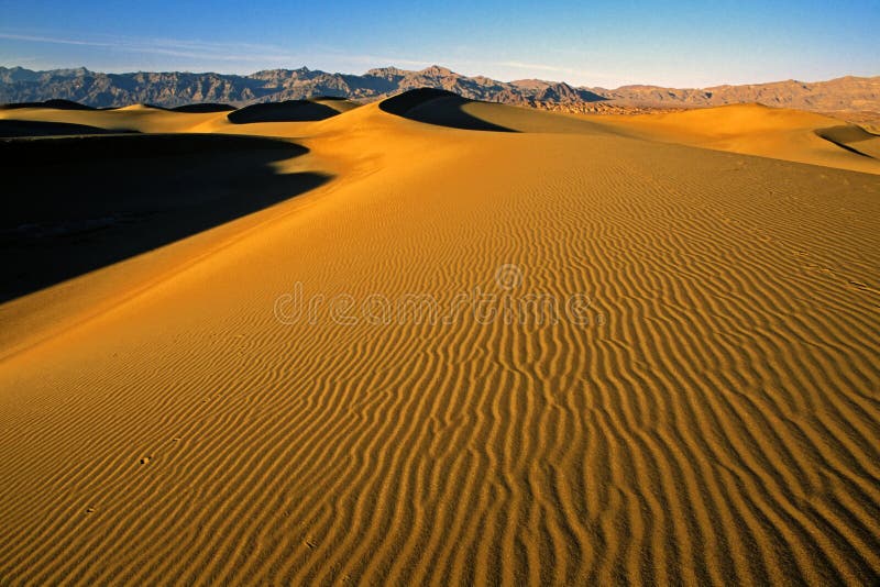 沙丘在冬天之下的沙子日落