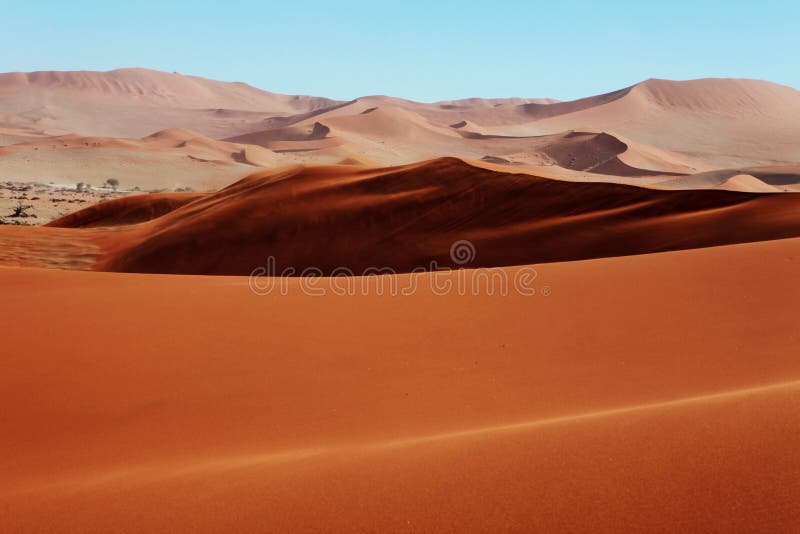沙丘红色沙子