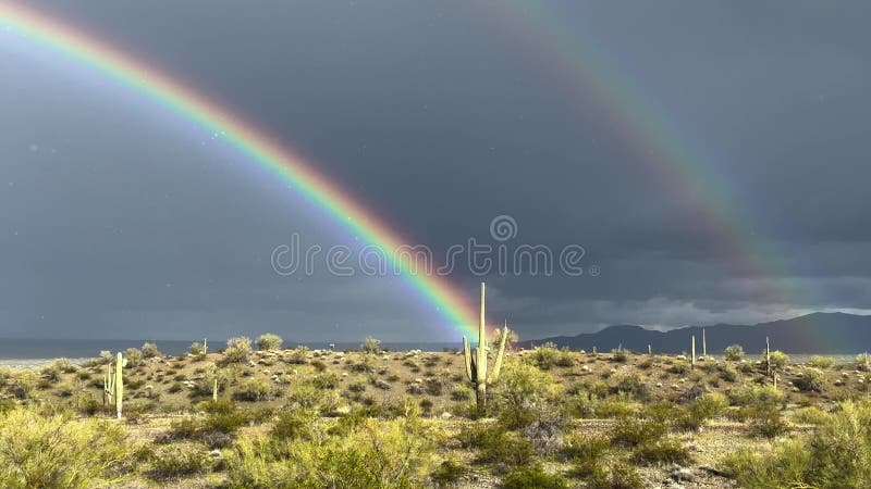 沙漠雨下的双彩虹