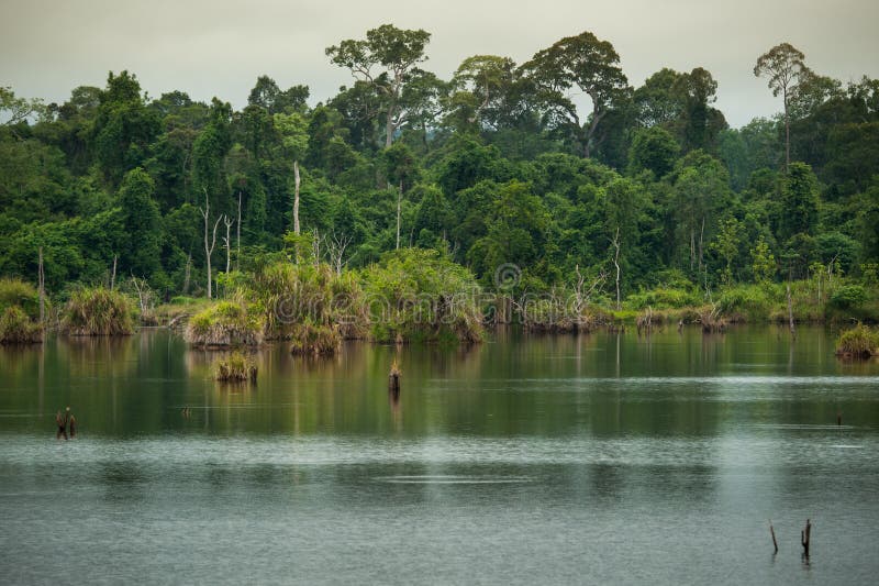 River in deciduous forest of Thailand. River in deciduous forest of Thailand