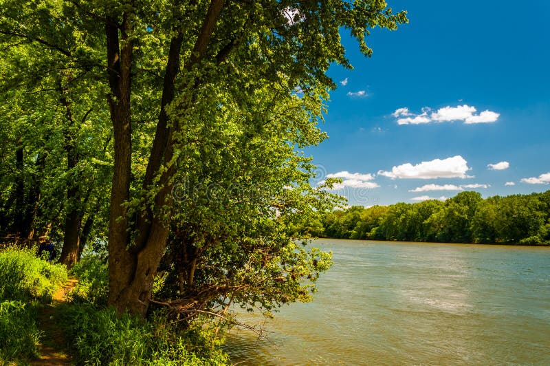 Trees along the Potomac River on a sunny spring day, Point of Rocks, Maryland. Trees along the Potomac River on a sunny spring day, Point of Rocks, Maryland.