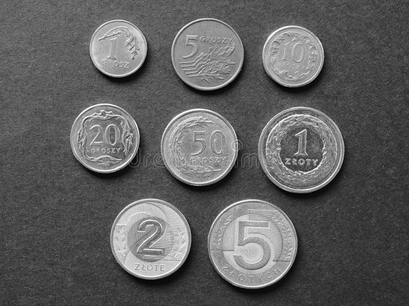 波兰黑白硬币