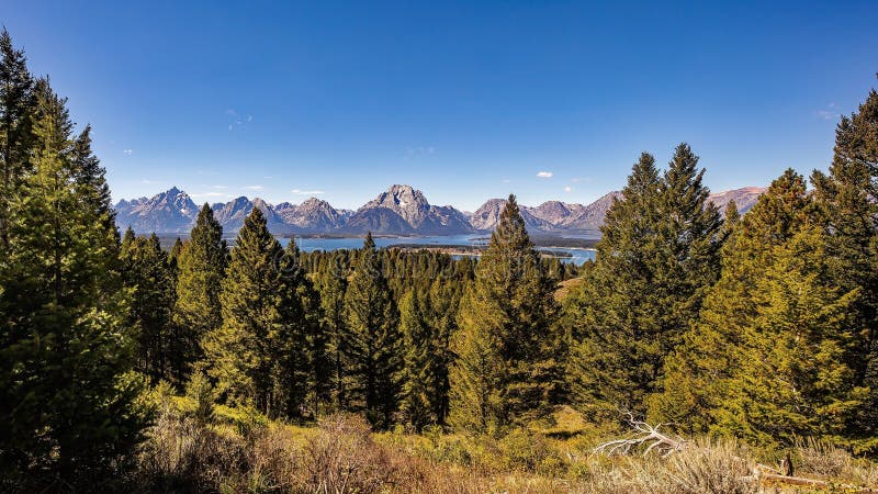 Wide shot of the whole range with Grand Teton on the left, Mount Moran in the middle and Eagle Rest Peak on the right. Mountainside covered in timber leads to the shore of Lake Jackson and across the water to Mount Moran, Most grasses and shrubs showing fall colors in early September. The higher peaks show some snow remnants from last winter. Deep haze from smoke from Canadian Forest Fires colors the horizon. Wide shot of the whole range with Grand Teton on the left, Mount Moran in the middle and Eagle Rest Peak on the right. Mountainside covered in timber leads to the shore of Lake Jackson and across the water to Mount Moran, Most grasses and shrubs showing fall colors in early September. The higher peaks show some snow remnants from last winter. Deep haze from smoke from Canadian Forest Fires colors the horizon.