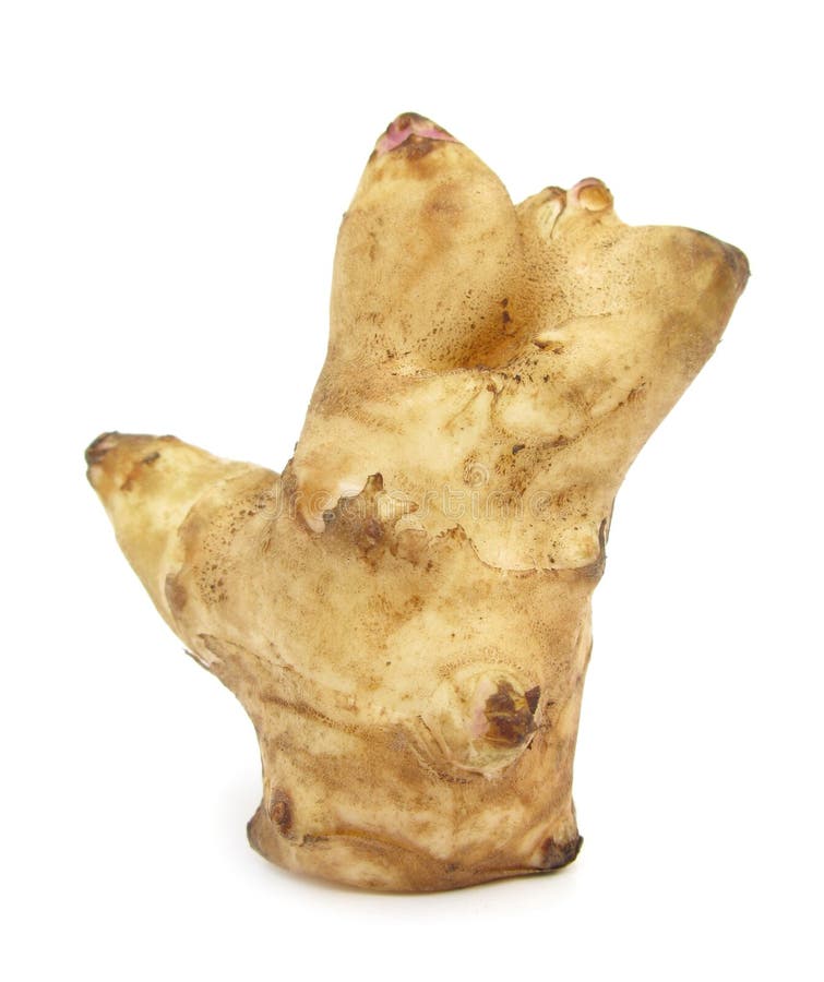 洋姜sunroot sunchoke肿胀 图库摄影
