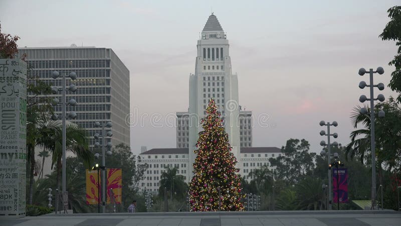 洛杉矶市中心市政厅的圣诞树