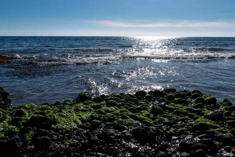 Cabo de Gata, Almeria - Spain - 01-23-2024: nlight sparkles on green seaweed and clear water over coastal rocks. Cabo de Gata, Almeria - Spain - 01-23-2024: nlight sparkles on green seaweed and clear water over coastal rocks