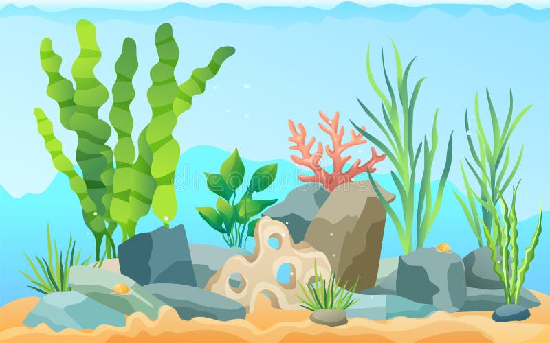 Seascape rocks and plants. Underwater view with sand and seaweed, snails animals crawling on bottom of sea. Aquatic image wildlife vector illustration. Seascape rocks and plants. Underwater view with sand and seaweed, snails animals crawling on bottom of sea. Aquatic image wildlife vector illustration