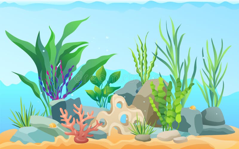 Seascape rocks and plants. Underwater view with sand and seaweed, snails animals crawling on bottom of sea. Aquatic image wildlife vector illustration. Seascape rocks and plants. Underwater view with sand and seaweed, snails animals crawling on bottom of sea. Aquatic image wildlife vector illustration