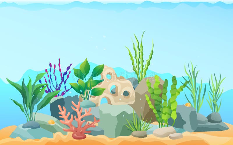 Seascape rocks and plants. Underwater view with sand and seaweed, snails animals crawling on bottom of sea. Aquatic image wildlife vector illustration. Seascape rocks and plants. Underwater view with sand and seaweed, snails animals crawling on bottom of sea. Aquatic image wildlife vector illustration