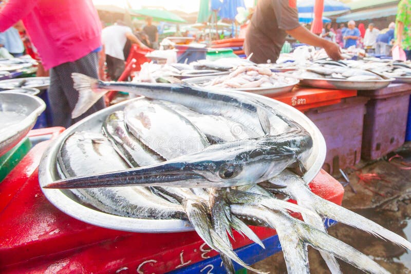 海水鱼品种在不锈的板材的在地方市场上在奈良 免版税库存图片 海水鱼品种在不锈的板材的在地方市场上在奈良 免版税库存图片