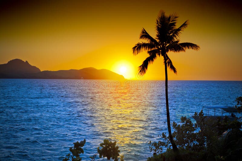 海洋棕榈树日落天空