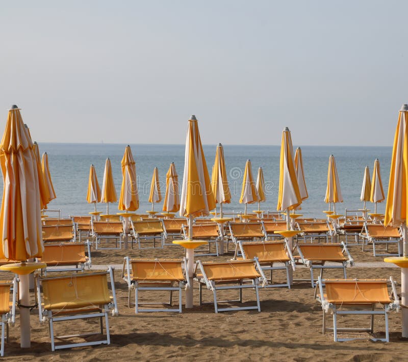 many closed yellow sunshade on the beach at the end of summer season. many closed yellow sunshade on the beach at the end of summer season