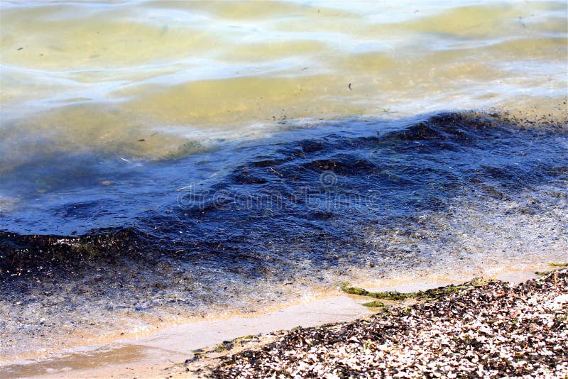 Water dirtied by industrial waste and oil spills onto a beach. Water dirtied by industrial waste and oil spills onto a beach.