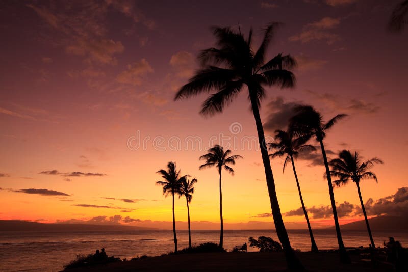 Tropical sunset on Maui in the middle of the Pacific Ocean. Tropical sunset on Maui in the middle of the Pacific Ocean.