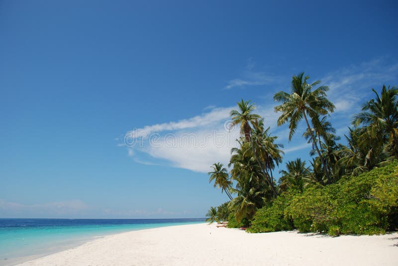 A view of a deserted beach on the tropical island of Filitheyo, Maldives. A view of a deserted beach on the tropical island of Filitheyo, Maldives.