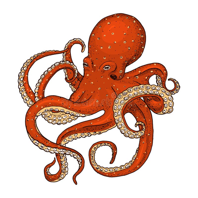 海生物章鱼 刻记手拉在老剪影,葡萄酒样式 船舶或海洋,妖怪或者食物 动物 库存例证 海生物章鱼 刻记手拉在老剪影,葡萄酒样式 船舶或海洋,妖怪或者食物 动物 库存例证