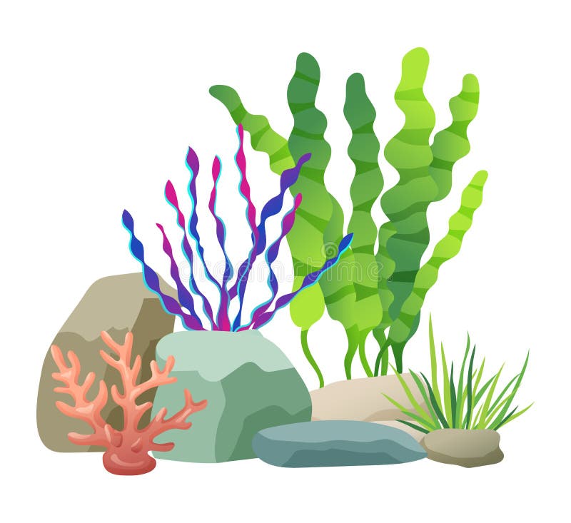 Seaweed rocks and plants set. Marine life flora green and purple vegetation. Long leaves glowing in freshwater or sea isolated on vector illustration. Seaweed rocks and plants set. Marine life flora green and purple vegetation. Long leaves glowing in freshwater or sea isolated on vector illustration