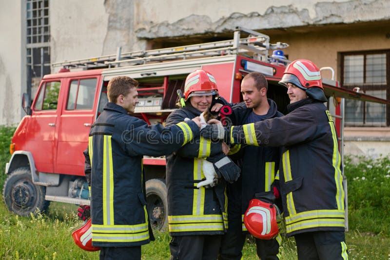消防员从火灾中救出一只猫，消防员团队与获救的小猫，背景中有一辆消防车，团队合作 库存照片