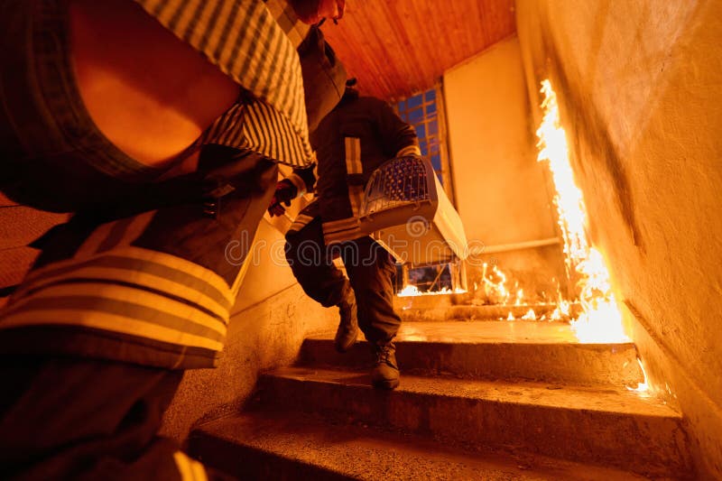 消防员从燃烧的建筑物中救出宠物，在被火焰吞噬的楼梯上奔跑，抱着宠物笼 库存图片