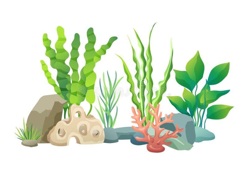 Green vegetation of deep sea. Decorations to put in aquariums. Stones with holes and plants different seaweed set isolated on vector illustration. Green vegetation of deep sea. Decorations to put in aquariums. Stones with holes and plants different seaweed set isolated on vector illustration