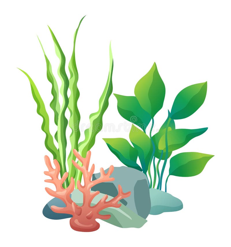 Green vegetation of deep sea. Decorations to put in aquariums. Stones with holes and plants different seaweed set isolated on vector illustration. Green vegetation of deep sea. Decorations to put in aquariums. Stones with holes and plants different seaweed set isolated on vector illustration