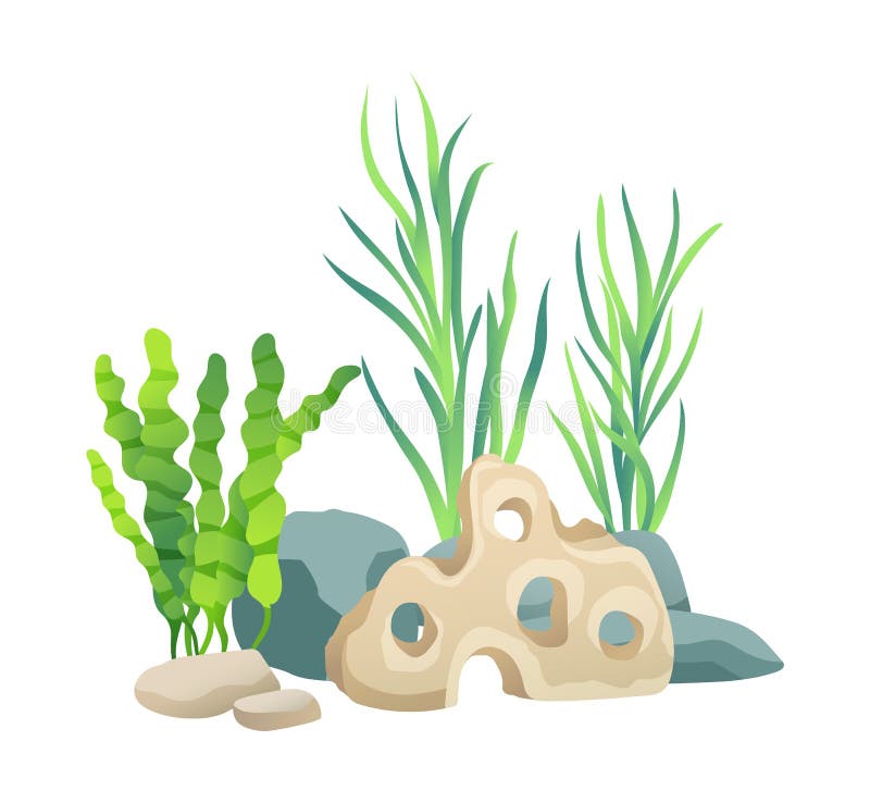 Green vegetation of deep sea. Decorations to put in aquariums. Stones with holes and plants different seaweed set isolated on vector illustration. Green vegetation of deep sea. Decorations to put in aquariums. Stones with holes and plants different seaweed set isolated on vector illustration