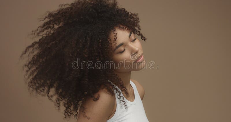 混合的族种与大非洲的头发，卷发的黑人妇女画象 库存照片