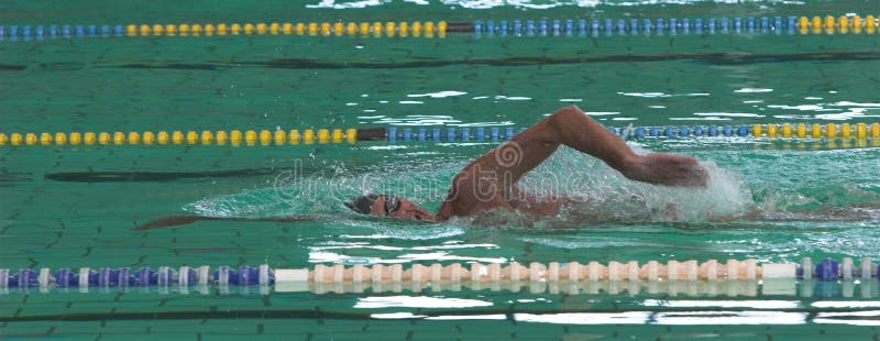Male freestyle swimmer at full stretch gulping for air. Male freestyle swimmer at full stretch gulping for air