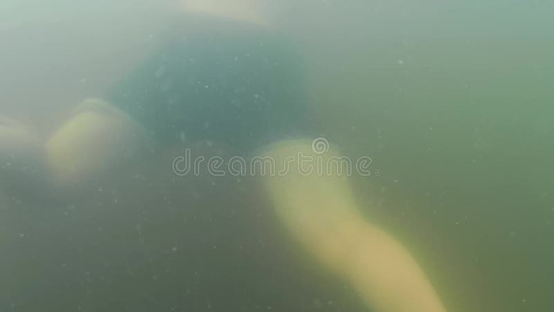 湖中潜水. 在水下游泳的男孩穿着洁身裤. 股票视频. 视频 包括有 男人, 自由, 赤裸, 绿色, 公园 - 191382847