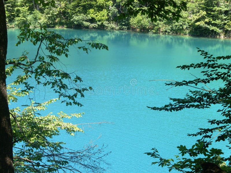 湖岸五颜六色和充满活力的风景 平静的风景有用作为背景 降低湖峡谷 全国Plitvice的湖 免版税库存照片 湖岸五颜六色和充满活力的风景 平静的风景有用作为背景 降低湖峡谷 全国Plitvice的湖 免版税库存照片
