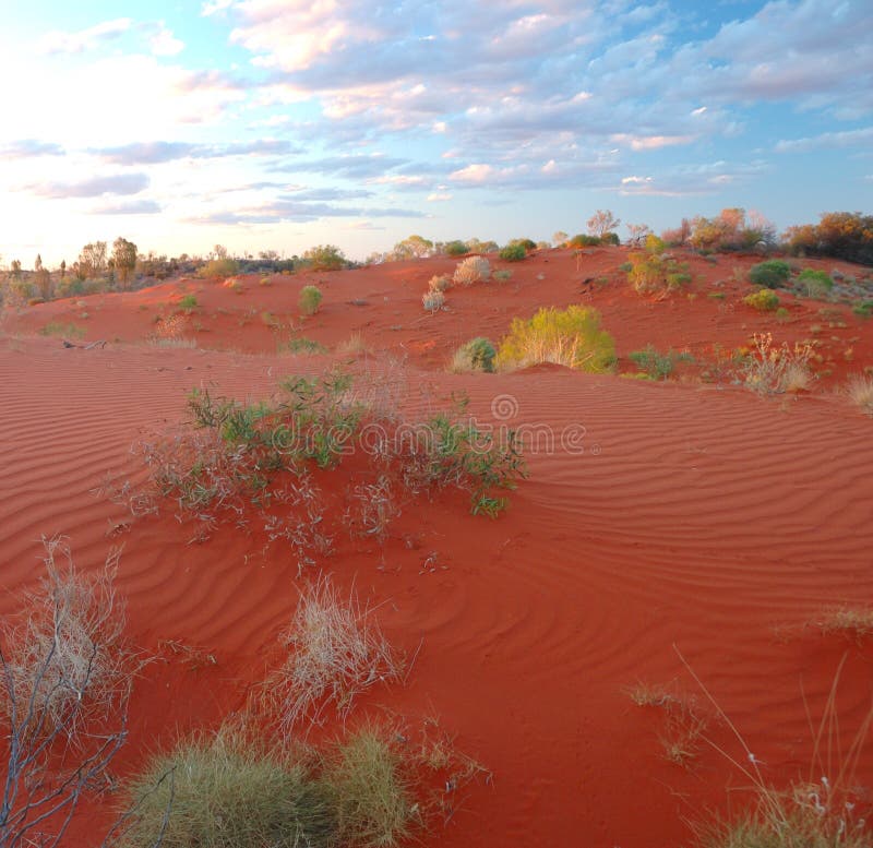 Simson desert is a very dry place in australia, where rain drops come every ten month.only aboriginal people used to live there. nowadays you can find there lots of camels which where imported few hundreds years ago. it is thousands kilometer square right in the middle of australia. Simson desert is a very dry place in australia, where rain drops come every ten month.only aboriginal people used to live there. nowadays you can find there lots of camels which where imported few hundreds years ago. it is thousands kilometer square right in the middle of australia.