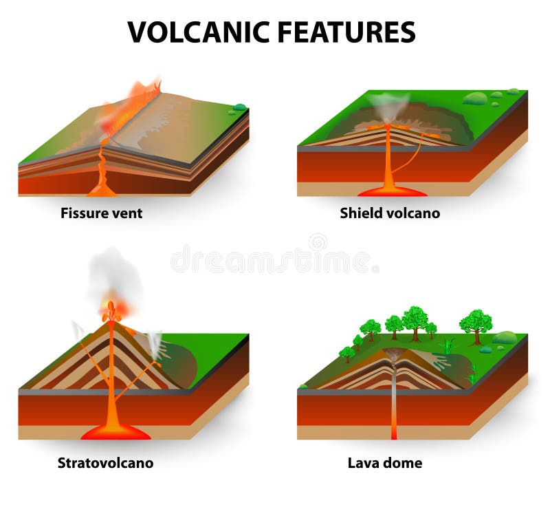 Types of volcano. Volcanic eruptions produce volcanoes of different shapes, depending on the type of eruption and geology. Fissure vents, Shield volcanoes, Lava domes and stratovolcano. diagram. Types of volcano. Volcanic eruptions produce volcanoes of different shapes, depending on the type of eruption and geology. Fissure vents, Shield volcanoes, Lava domes and stratovolcano. diagram