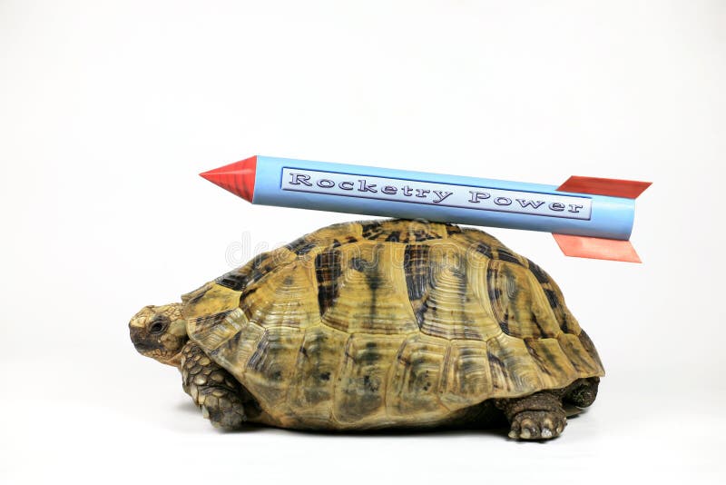 Tortoise with Rocket Made Advance Speed up. Tortoise with Rocket Made Advance Speed up