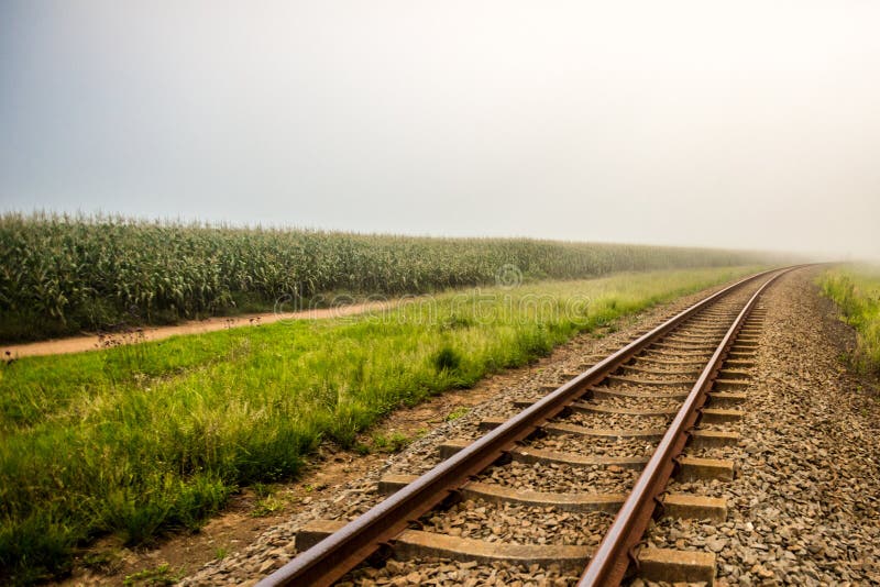 Train tracks go off into the morning fog. Train tracks go off into the morning fog.