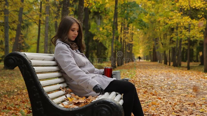 灰色外套和围巾的美丽的少妇坐长凳在秋天公园