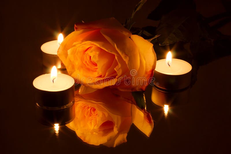 Rose lit by three burning candles in the dark. Rose lit by three burning candles in the dark